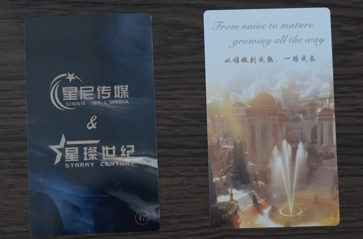 金秋庄园Golden Autumn Manor(Anchor development)42